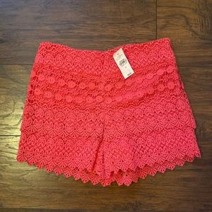NWT LOFT The Rivera Shorts